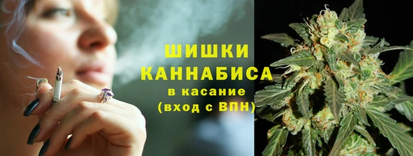 прущий лед Козельск