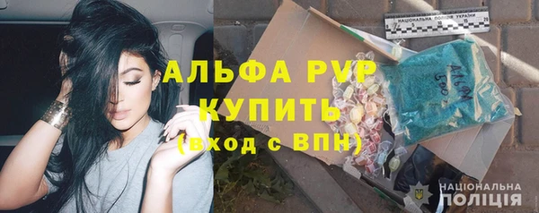 стаф Карпинск