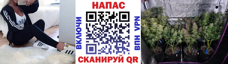Купить где  Духовщина  Бошки марихуана план 